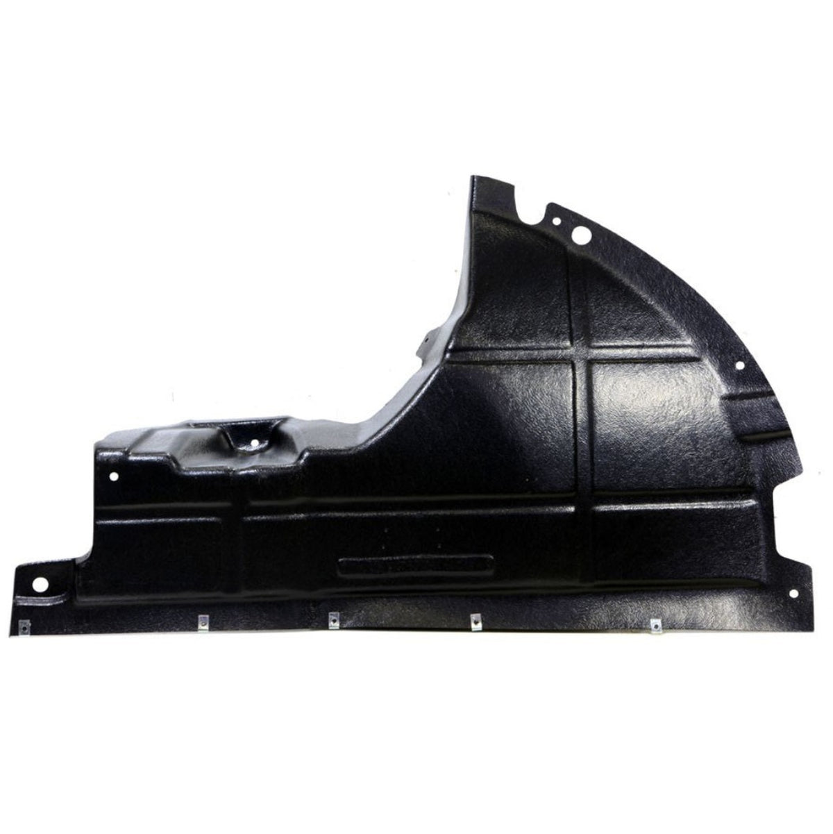 F.DUCATO MOTOR ALT KORUMA PLS.Rh.06- - main