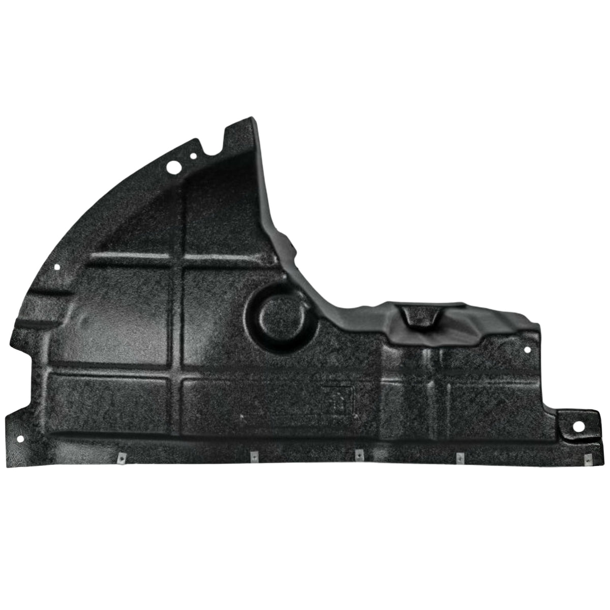 F.DUCATO MOTOR ALT KORUMA PLS.Lh.06- - main