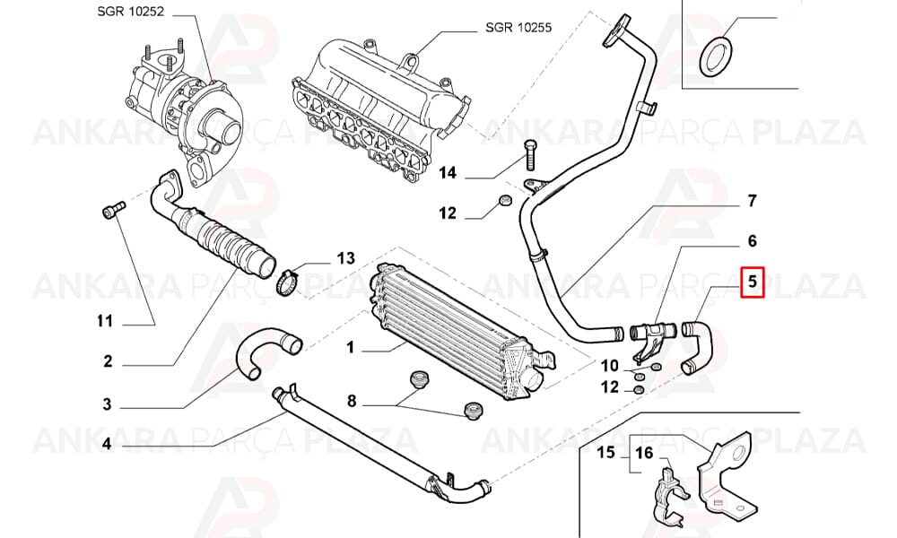 Palio Albea Siena 1,3 Multijet Turbo Hortumu Ucpa