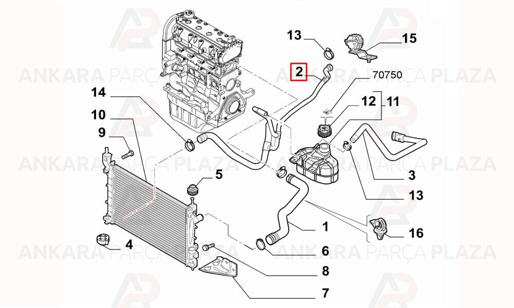 Radyatör Üst Hortumu Fiat : Linea 1.4 16V