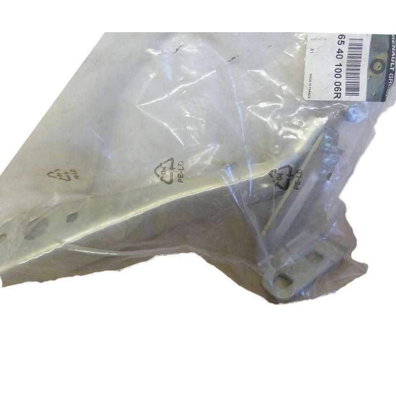 Kaput Menteşesi Sol Master 3 654010006R