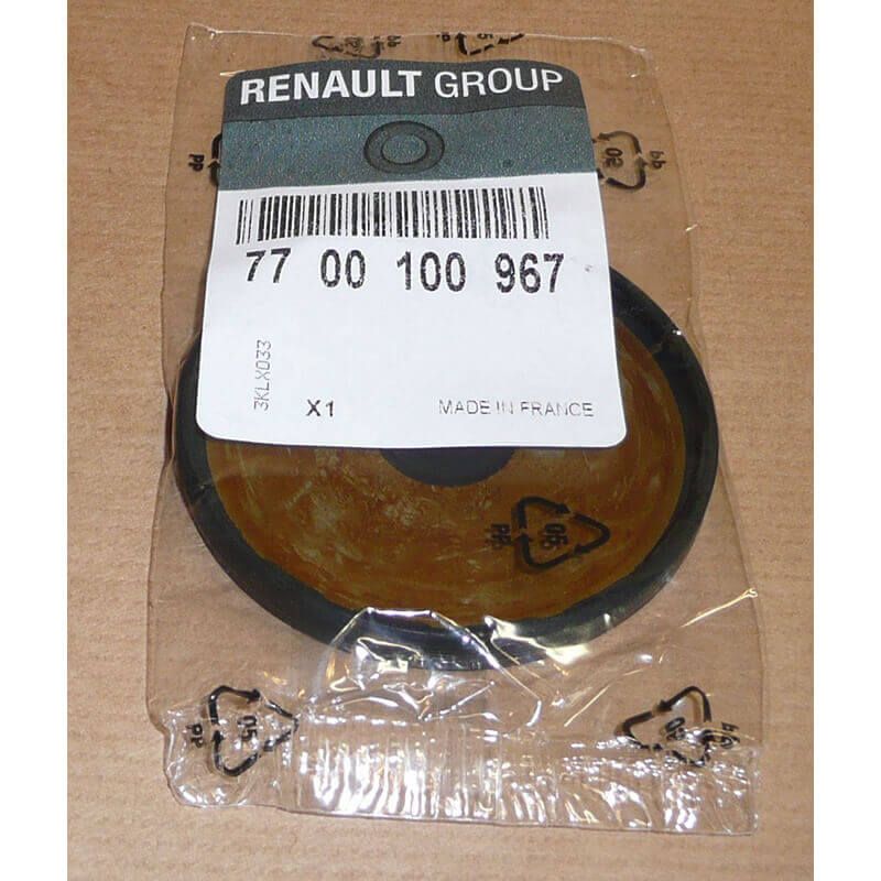 Laguna Megane Silindir Kapak Tapası Büyük 63Mm Orijinal 7700100967