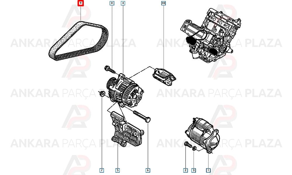 Kanallı Kayış Safrane 3.0 12V Roadmax