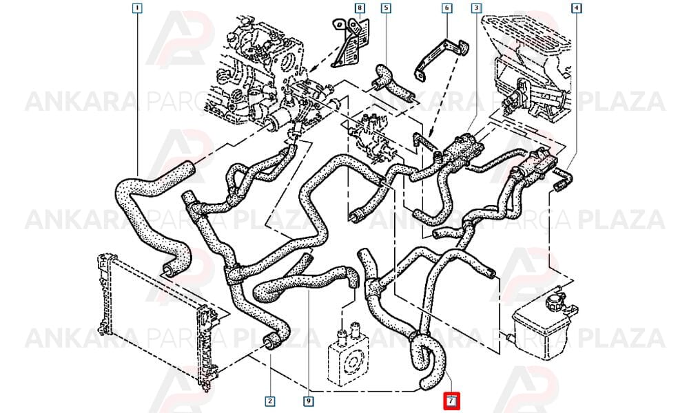 Radyatör Alt Hortumu Renault : Laguna 1 2.0 16V 140Hp F4R
