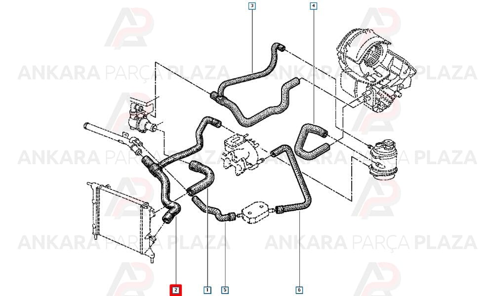 Radyatör Alt Hortumu Renault : Clio 1.2 - 1.4 98>