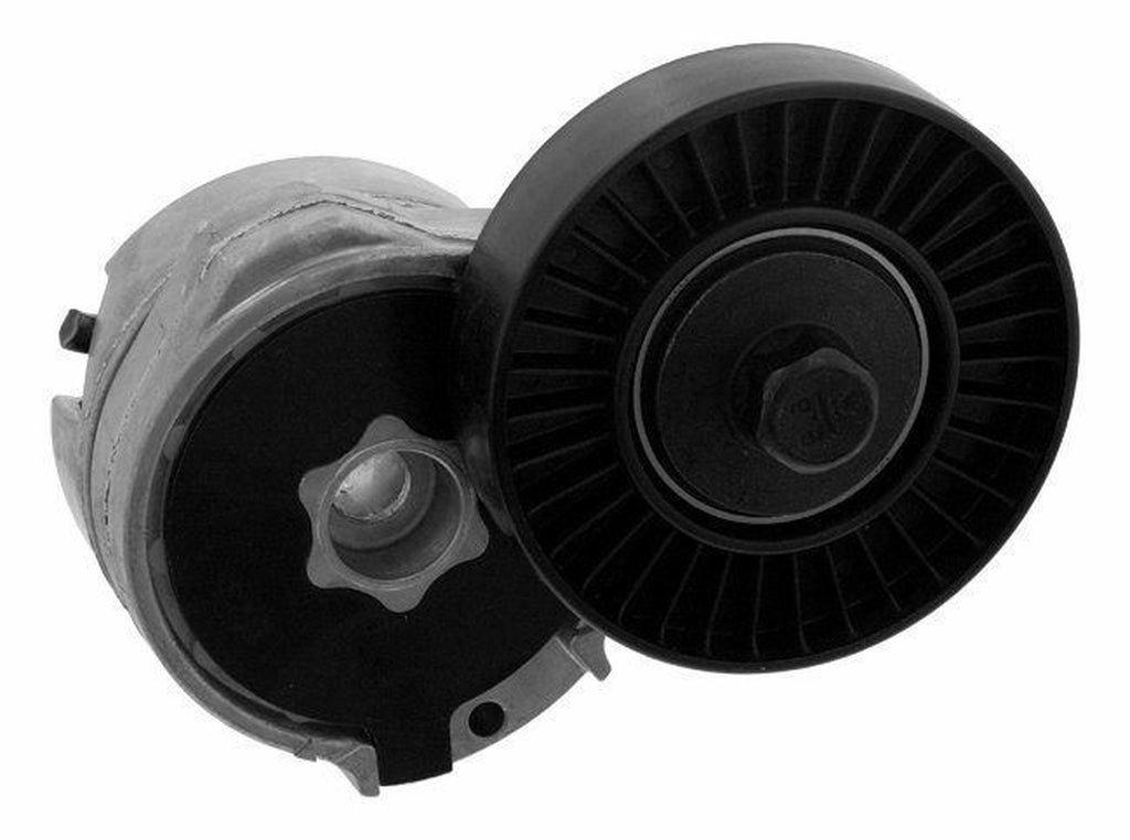 Clio, Kango Alternatör V Kayış Gergi Rulmanı 1.4 8V Orijinal 7700870495 - main
