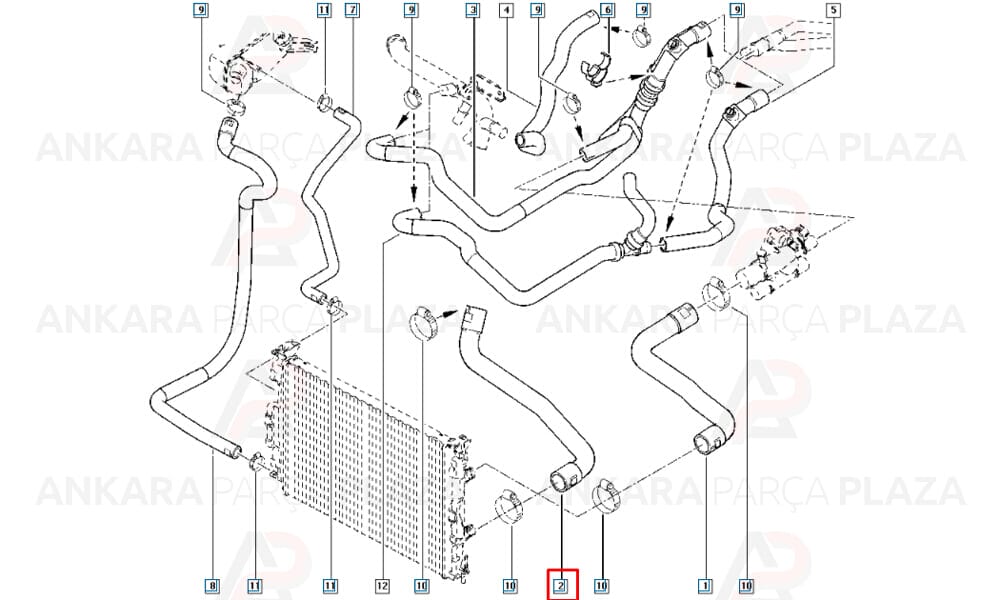 Radyatör Alt Hortumu Megane 2 Scenic 2 K9K 1.5Dcı