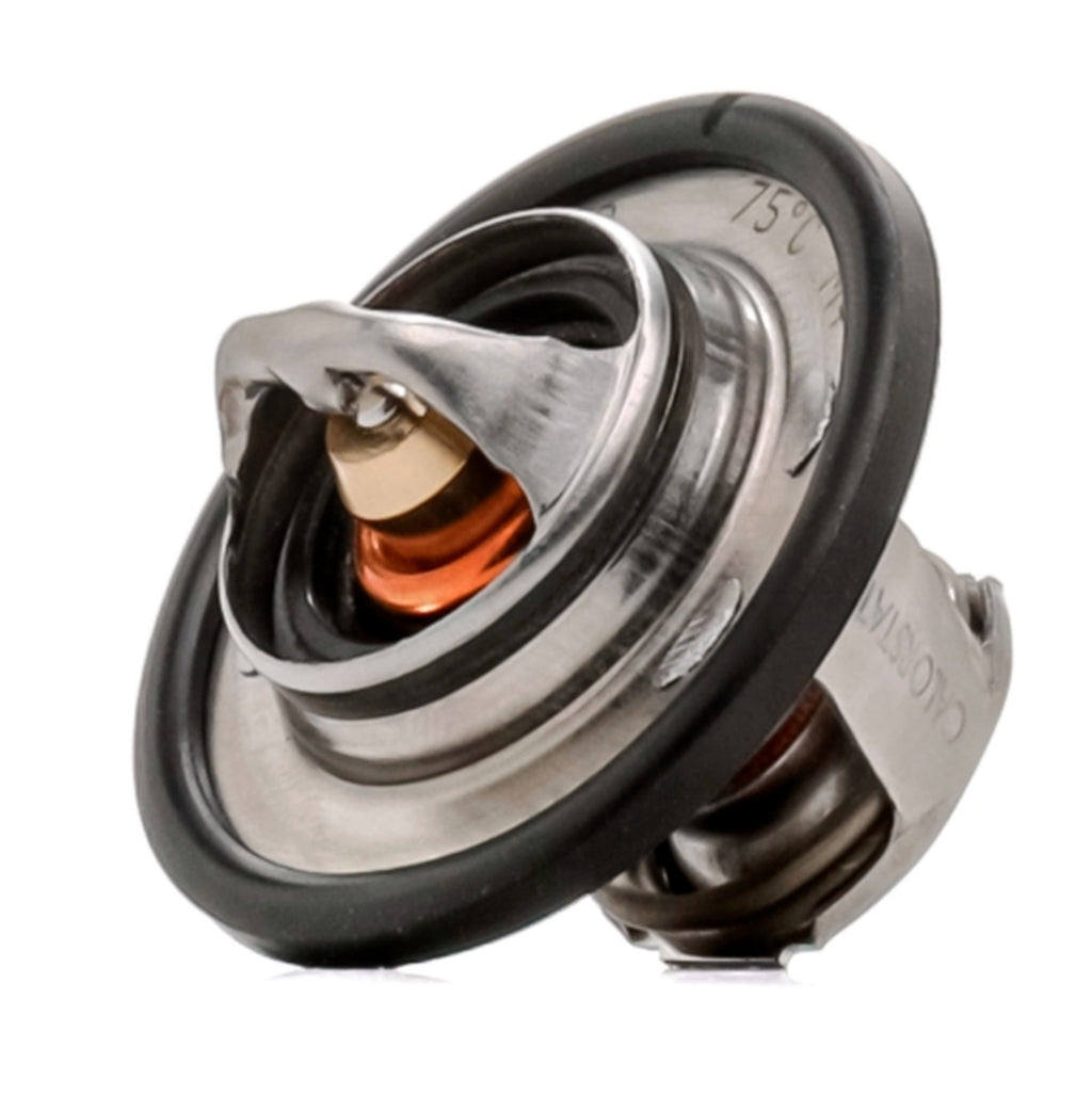 Renault Clio Megane Laguna Kangoo Termostat 75 Derece Kale 573225 - product