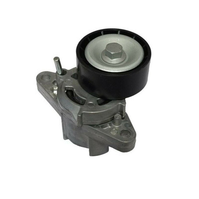 Megane, Laguna Alternatör Kayiş Gergisi 1.6 16V Orijinal 8200603359