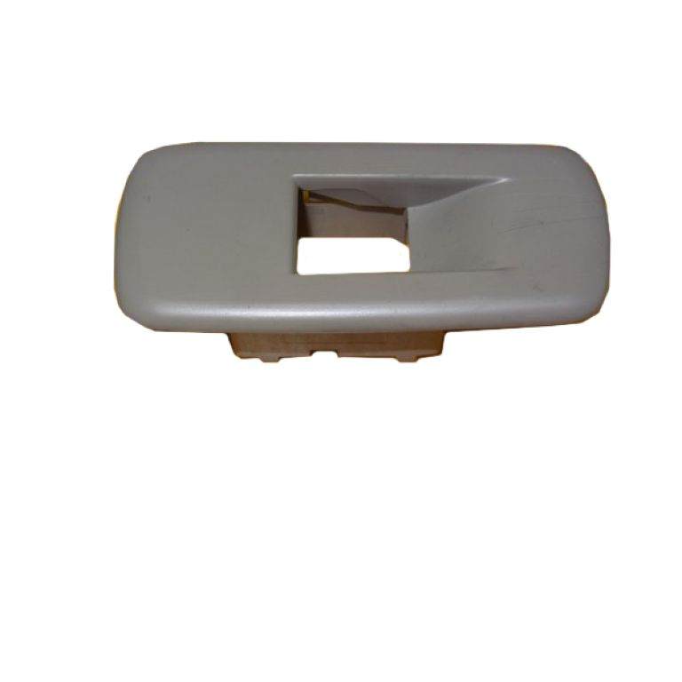 Latitude Arka Kapi Cam Kumanda Paneli Orijinal 829618764R