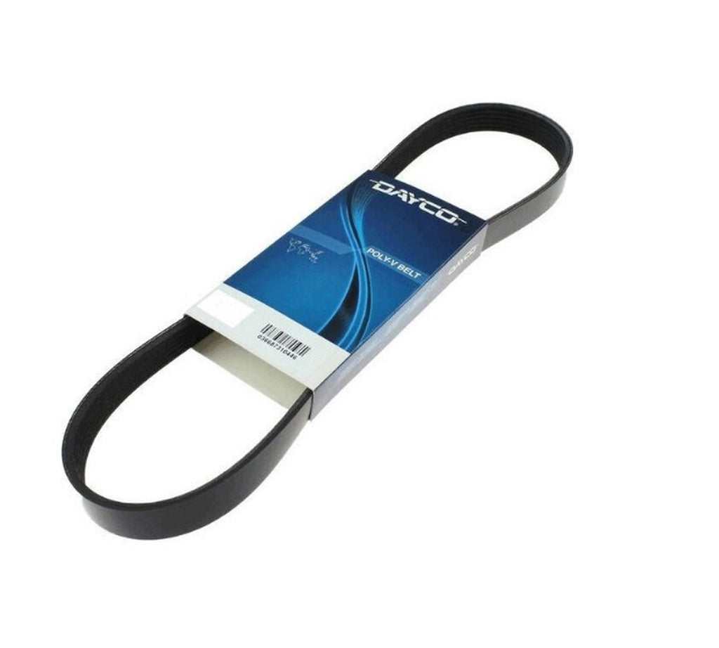 KANALLI KAYIŞ KANGO  - product