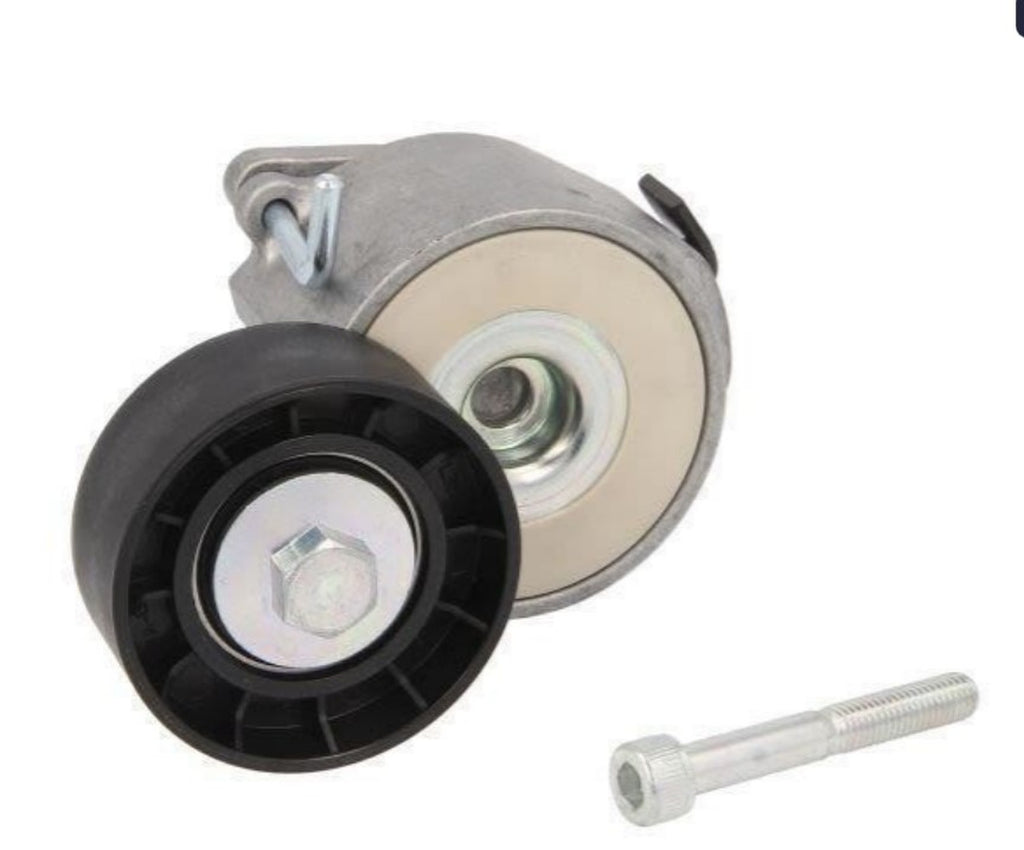 Alfa Romeo Fiat Alternatör Gergi Bilyası 1.6 MJTD - 1.9JTD - 2.0JTD Dayco APV1088 - product