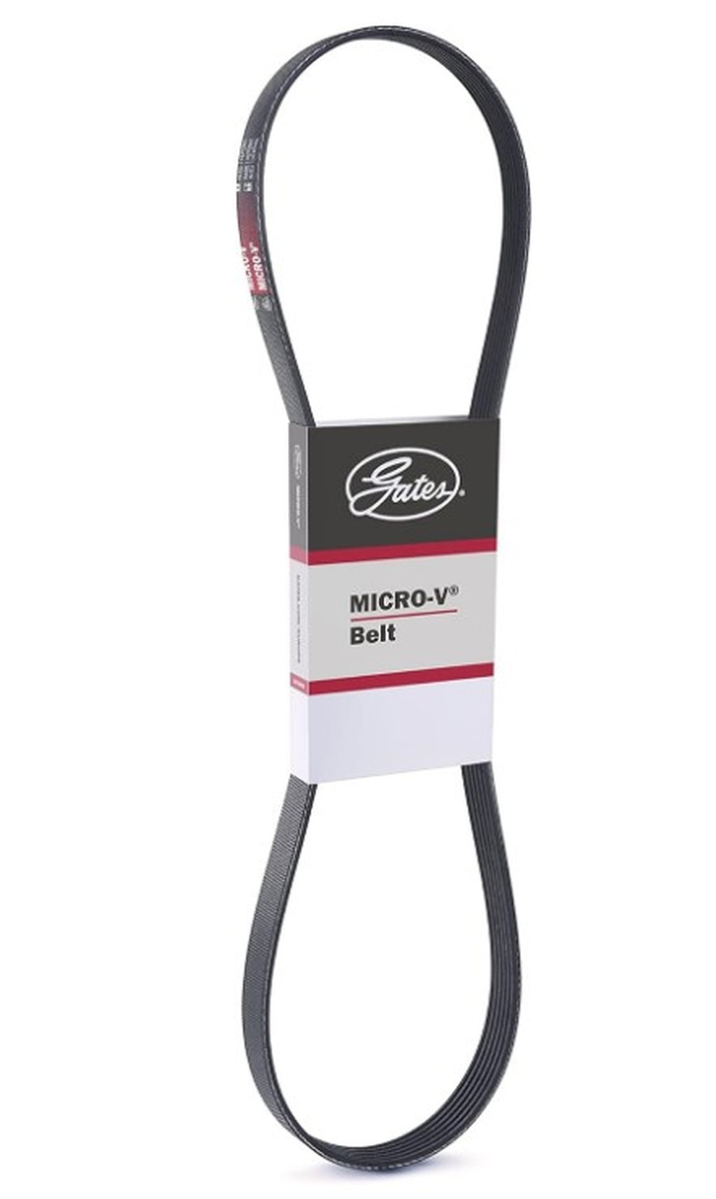Doblo Albea İdea Palio Panda Pratico Strada Punto Linea Fiorino Egea Alternatör Kayışı 1.3 Multijet Klimalı Modeller Gates 6PK1310 - product