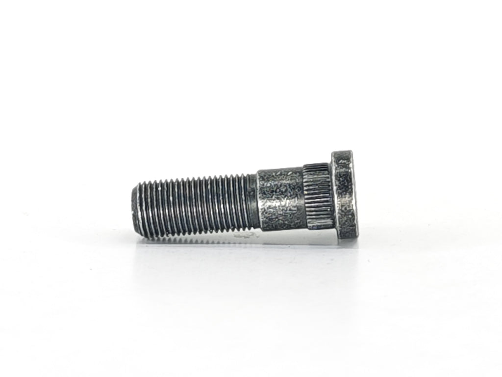 BIJ.SAP. MASTER EM ARKA UZUN - product