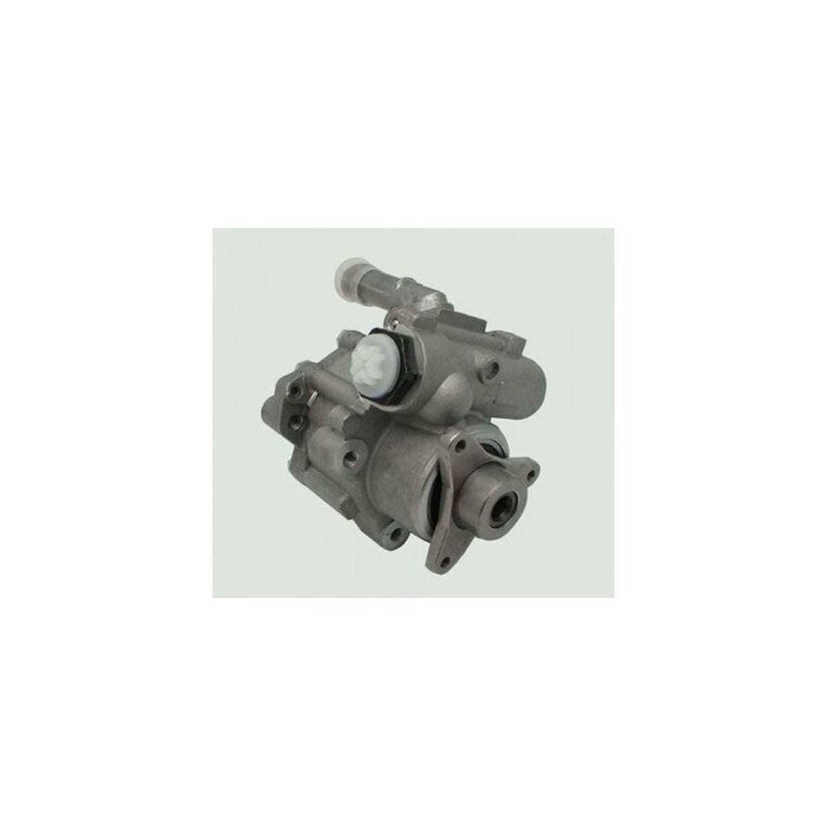 Renault Master 2004-2010 Hidrolik Direksiyon Pompası Serkar 20687 - main
