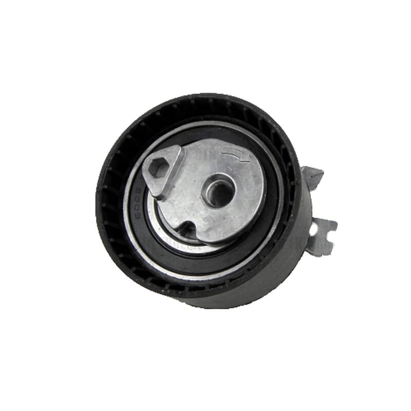 Logan Sandero Kangoo Clio Megane Laguna 1,4 16V/1,6 16V Triger Bilyası Aba