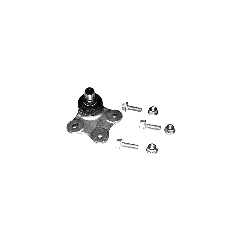 Rotil Grande Punto Linea Fiorino