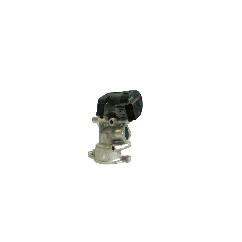 Scudo 2.0 Egr Valfi Delphi