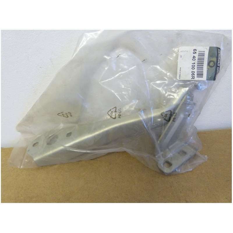 Kaput Menteşesi Sol Master 3 654010006R