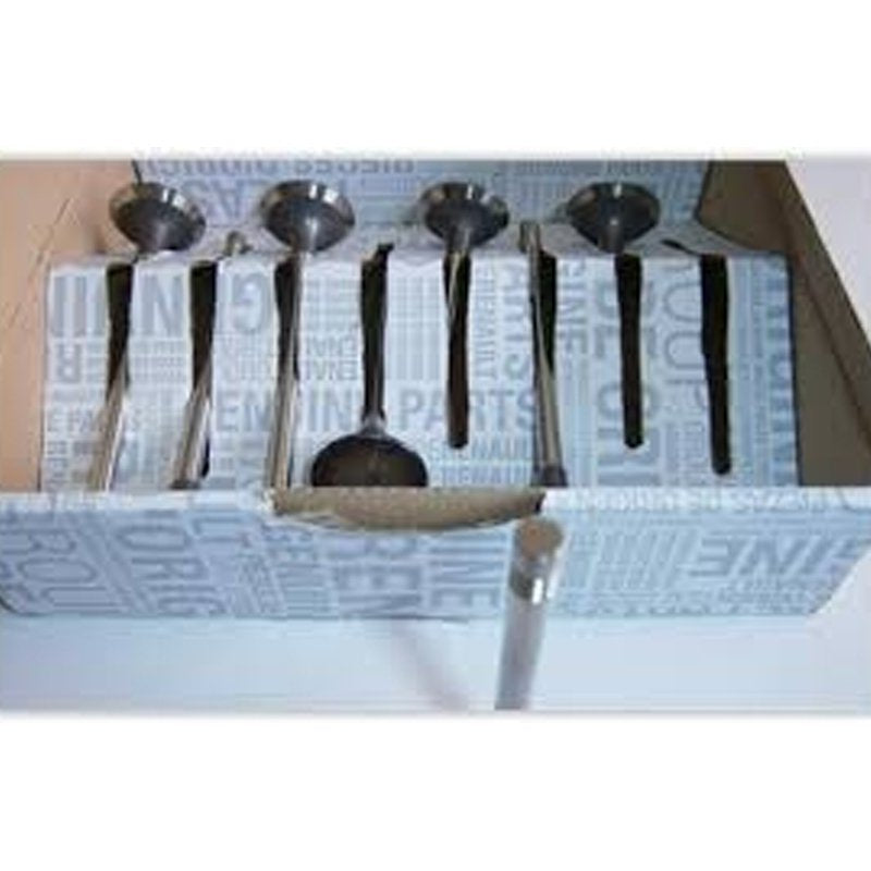 Laguna Megane Trafic 2.0 Dci Emme Subap Takimi M9R 7701476596