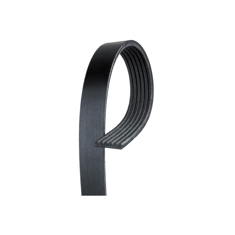 Fiat Punto, Stilo Kanallı Kayış 6Pk818 Gates