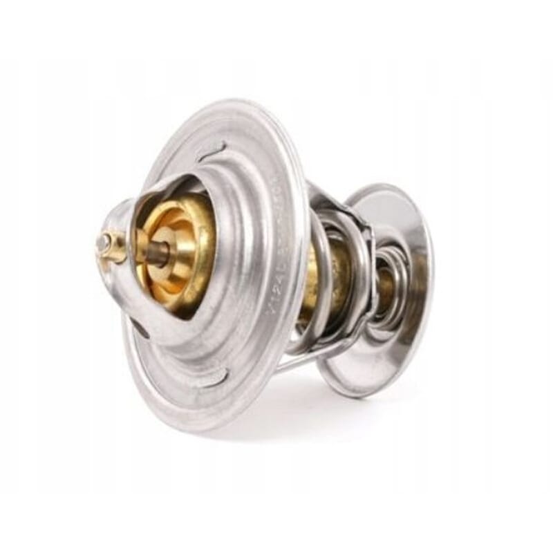 Master Ducato 2.5 2.8 Termostat 89C Vernet