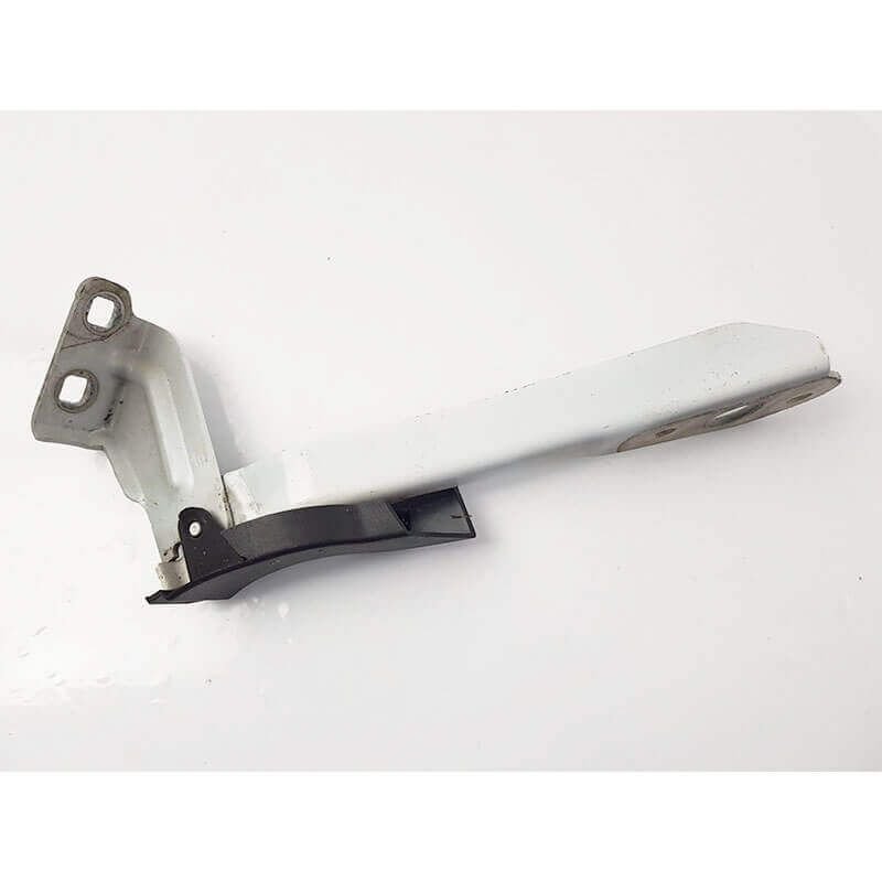Kaput Menteşesi Sol Master 3 654010006R