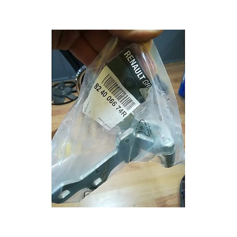 Arka Kapı Menteşesi Üst Master 2 824006674R