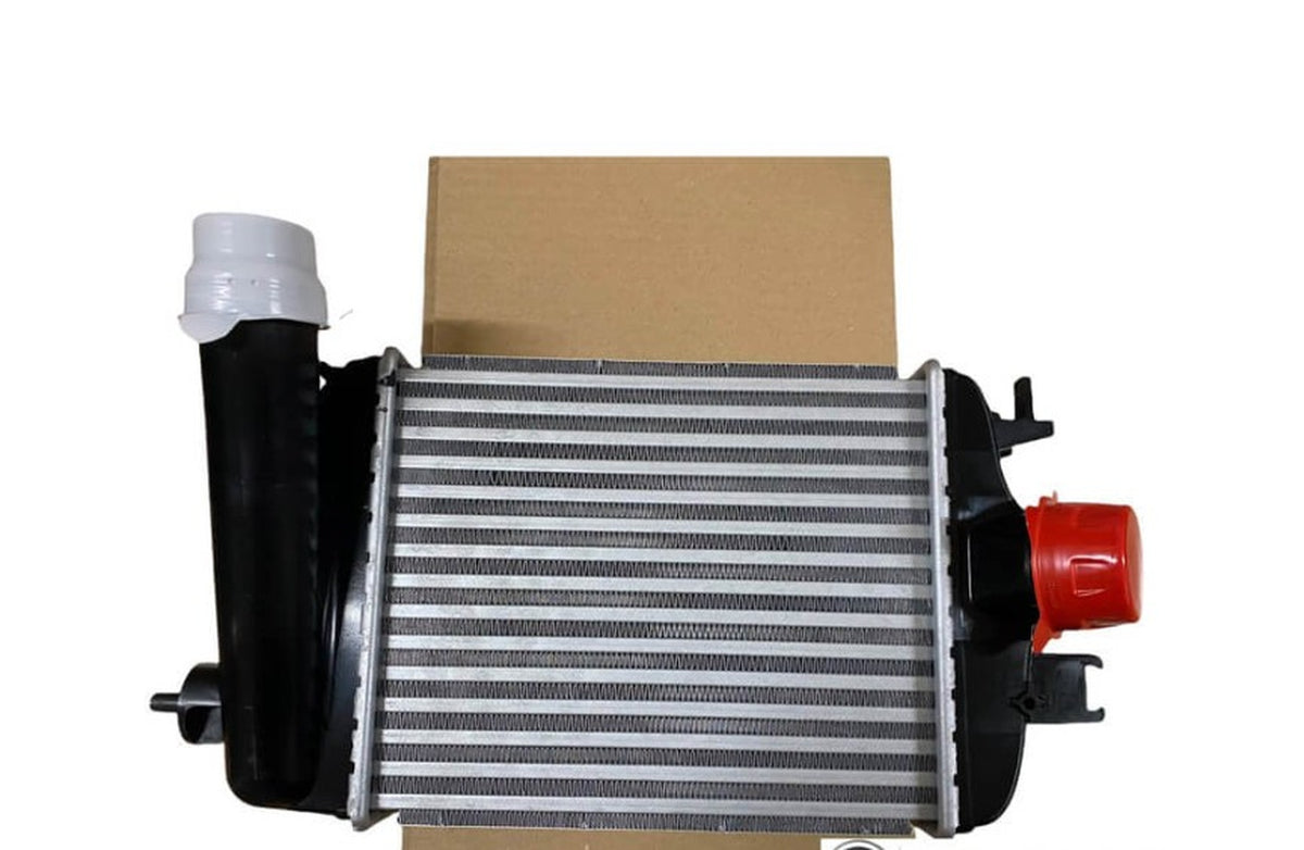Renault Clio 5 Duster Turbo Radyatörü Mais 144961019R - main