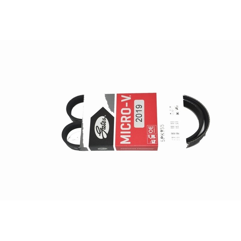 Fiat Palio Weekend, Albea Kanallı Kayış 5Pk955 Gates