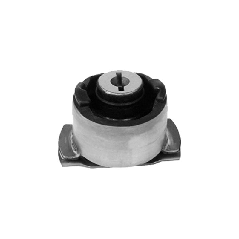 Torsiyon Takozu Arka Sol Renault : Laguna 2 2001> Tüm Motor Tipleri
