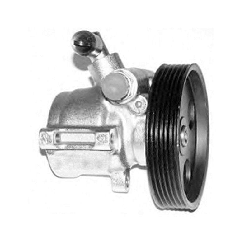 Hidrolik Direksiyon Pompası Scudo 1,9D/2,0Hdı 2000 >