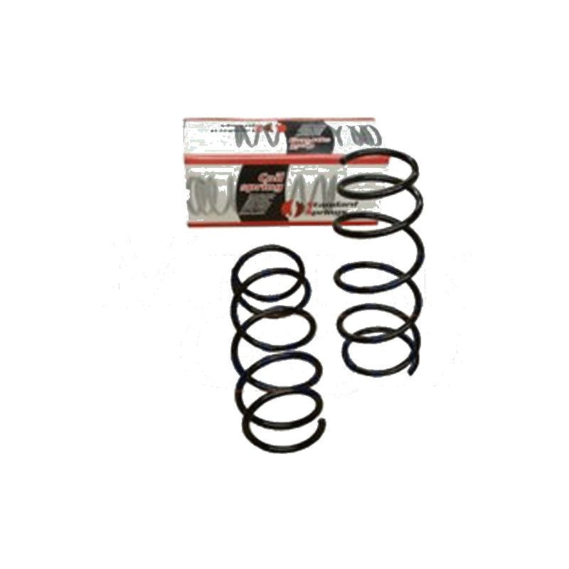 Clio 02 - 08 Ön Helezon Yayı Sağ - Sol 2Li Set