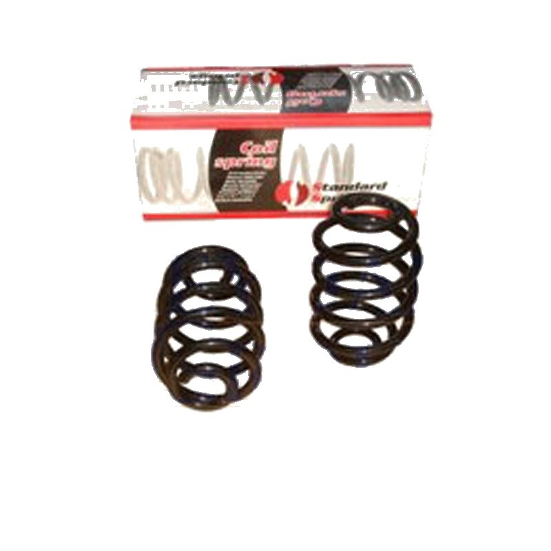 Clio 02 - 08 Arka Helezon Yayı Sağ - Sol 2Li Set