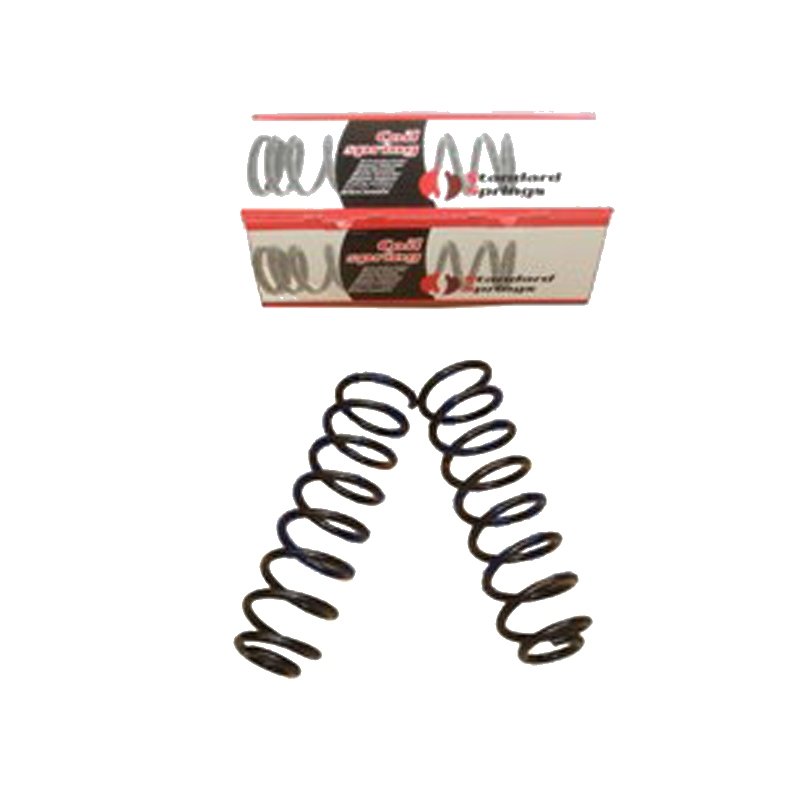Megane 2 03 - 09 Arka Helezon Yayı Sağ - Sol 2Li Set 8200276539