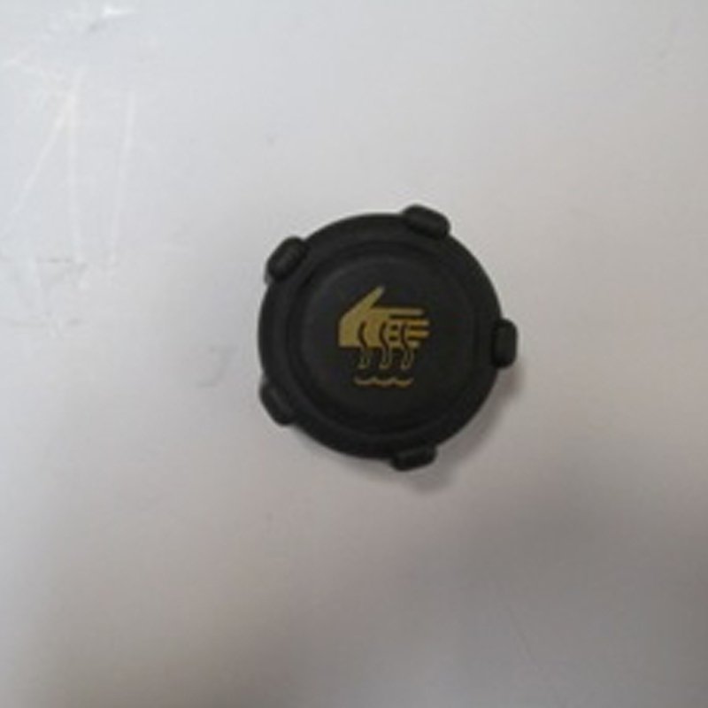 Clio 09 - 12 Radyatör Yedek Su Deposu Kapağı Siyah 8200048024