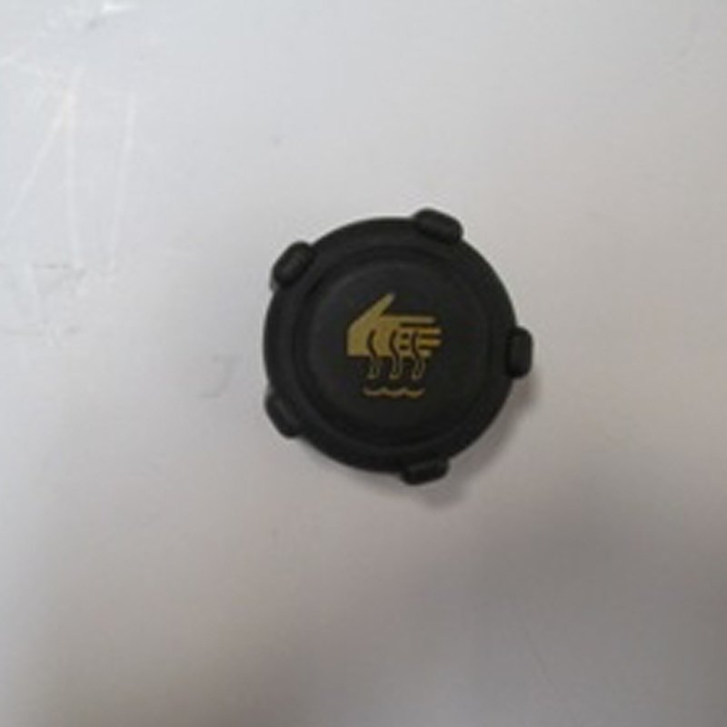Duster 10 - 17 Radyatör Yedek Su Deposu Kapağı Siyah 8200048024