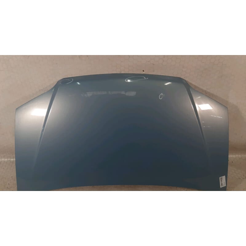 Fiat İdea Motor Kaputu 46828725
