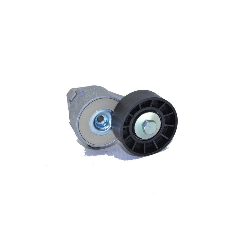 Ducato Alternatör Gergi Rulmanı Orijinal 504086751