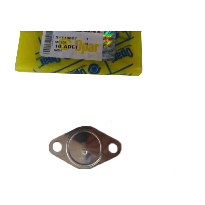 Doblo Egr Sacı 51714827