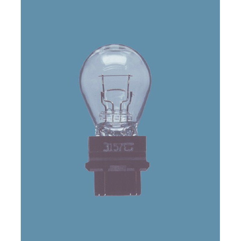 12V P27 7 Ampul Plastik Duylu