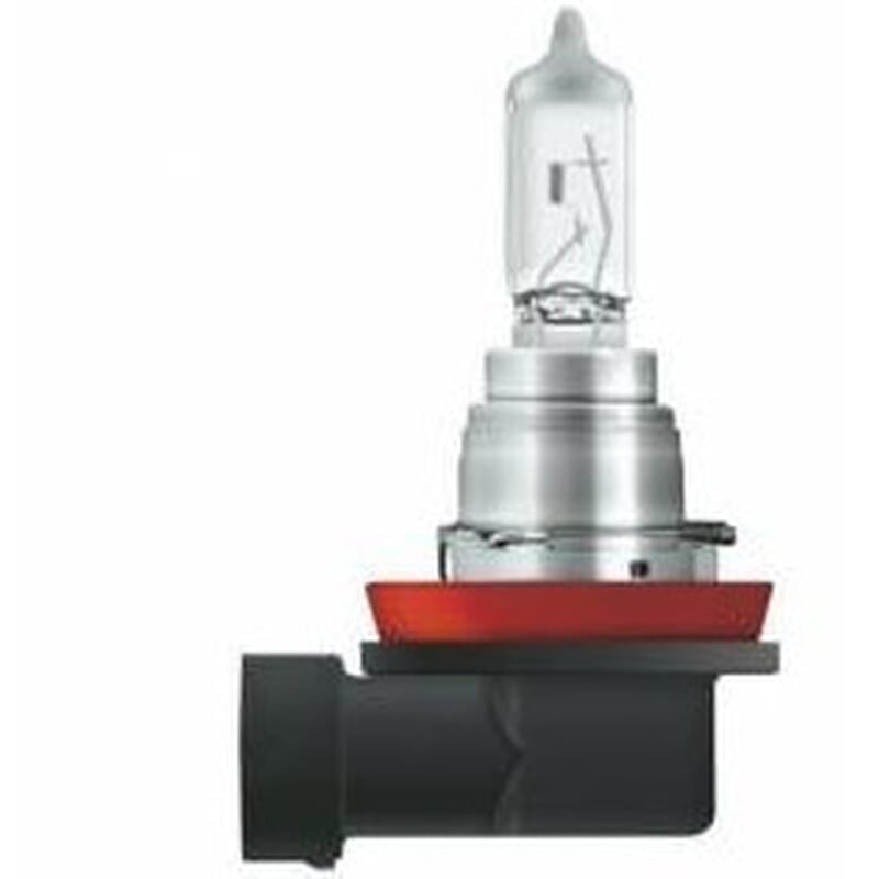 12V 19W H16 Tek Flaman Far Ve Sis Ampulü