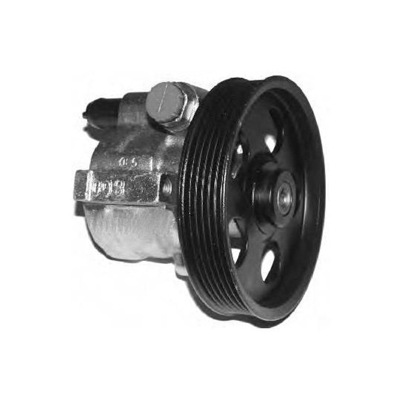 Hidrolik Direksiyon Pompası Kasnaklı Clio Kangoo Lgn Mgn Trf 93Mm