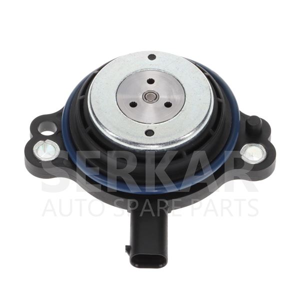 Renault Megane 4 Clio 5 Duster 1.3 TCE Eksantrik Mil Okuyucu Serkar