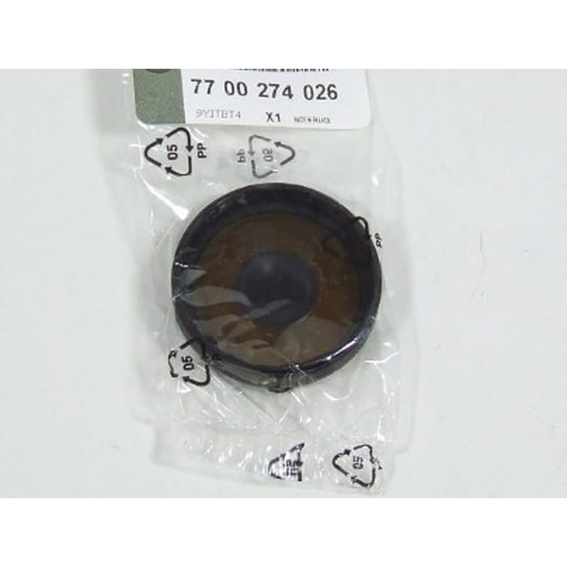 Clio Duster Fluence Silindir Kapak Tapası 42Mm Skt