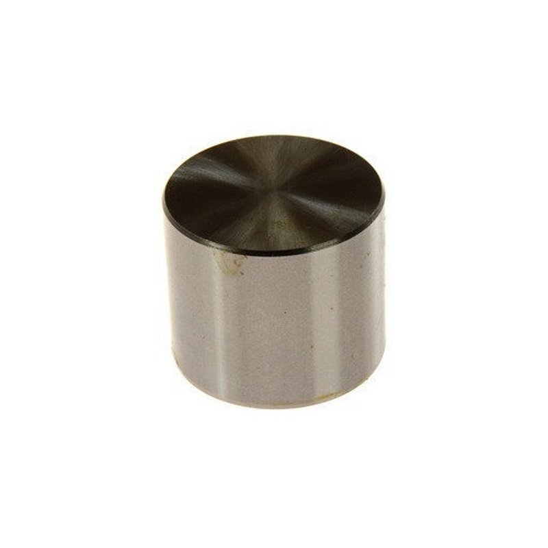 Clio Kangoo Megane 1.5 Dcı Laguna Trafic 1.9D Subap İticisi 8 Adet 7.8Mm Süpsan