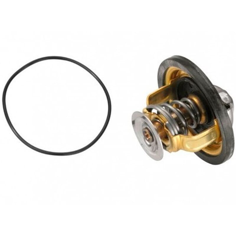 Master 2.5D 2.8Dti Termostat Ünüvar